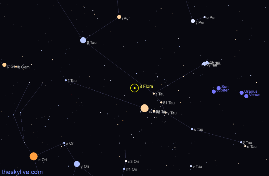 Finder chart of 8 Flora in Taurus on April,27 2024